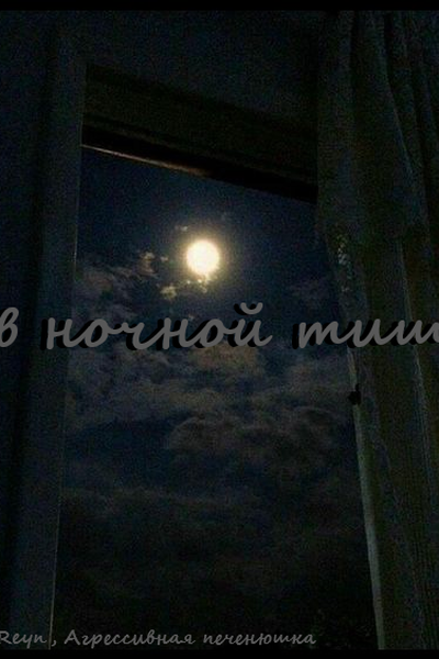 В ночной тиши