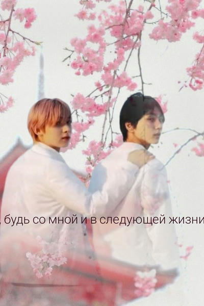Следуя за лепестками вишни